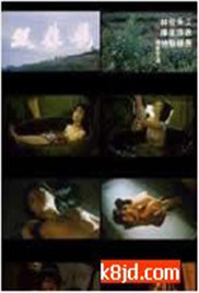 青丝在线观看免费高清电视剧