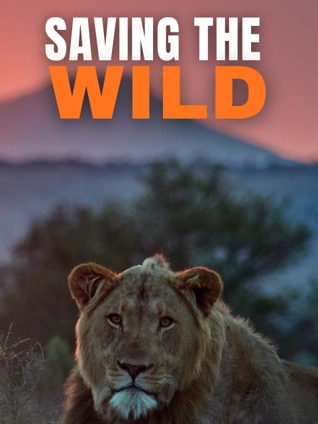 拯救野生动物 2