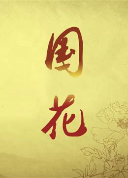 变态恋蝶 整形娇妻