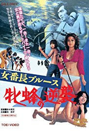 老牛暴躁少女免费播放电视剧全集